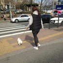 뿡이나코 이미지