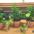 가증 경로당 이미지