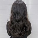 안스헤어 이미지