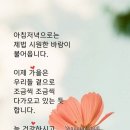 매일, 밥 이미지