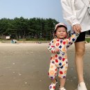 듀여펜션 | 안면도 펜션 / 아이와 함께 글램핑이 가능한 깨끗한 가족펜션 378빌리지 이용후기