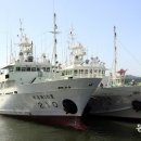 무궁화사진관 이미지