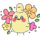 뽐앤비