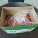 주식회사 대청포장건설 | 맛있는 수입산배추김치 10kg 전라도 대청김치