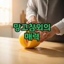햇님유통 | 입짧은햇님 망고참외 냉부해 최애 음식