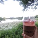 [리뷰] 만석공원 인근 조용한 분위기의 휴식처 ‘이캡커피(ekab coffee)’ 후기 (메뉴,위치,주차)