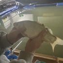 캠피그라운드 이미지