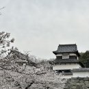 272-0117 | 2025 후쿠오카 여행기 05 - 여행 시작3. [여행 셋째날]다자이후 텐만구/하카타역 우동/오호리공원...