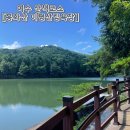 여수 산책 코스 추천 맨발걷기 명소 &#34;봉화산 미평 산림욕장&#34; +숲놀이터도 있어요!