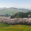 아라메길 (천년미소길) 이미지
