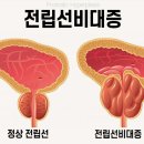 서울탑비뇨기과의원 이미지