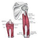 비타민휘트니스 13호점 이미지