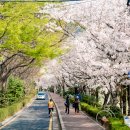 삼익농원 이미지