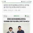 반려동물 애견 미용 티스토리