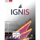 이그니스 이미지