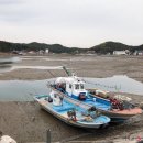 유진회센타 1호점