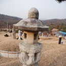 강지선생묘 이미지