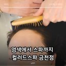 프루스트 | 광명헤드스파 시흥두피관리 잘하는 염색전문점 컬러드스파 금천점 프루스트 두피스파 후기