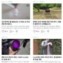라이온스관광(주) | 월간 윌슨 26년 5월호