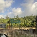 오동목장 이미지