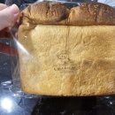 천연발효빵:)저당 천연발효빵 &#34;노이스트브레드&#34; 깜빠뉴, 식빵 먹방후기!!!