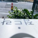 점드락 | (전주 만성동)점드락_왕등심돈까스와 열무비빔국수