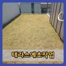 구월의정원 | 동탄테라스예초작업 아파트 주택 정원 잡초관리 잡초제거 정리 후기