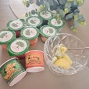 깜호프 | 건강디저트 건강간식 제주에프엔비 냉동 한라봉 청 제주샤베트 리얼후기