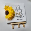 몸 다짐 이미지