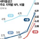 부동산에 발목 잡힌 새마을금고…수도권·TK 부실채권 비율 껑충 이미지