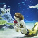 ㈜다음레저 이미지