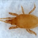 정은농장 이미지