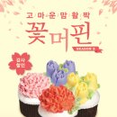 머핀 이미지