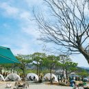 용인 브런치 카페 야외 정원도 예쁜 대형 베이커리카페 라임그라스