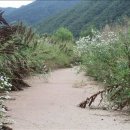 금강수변공원4 이미지