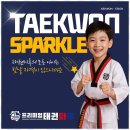 성실 태권도 이미지