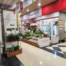 홈플러스(주)신도림점 | 신도림 꽃집 추천 | 홈플러스 뷰티플라워 엄마 선물 꽃다발 후기