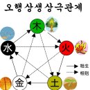 생활정보 - 오장육부의 위치와 기능과 역할 이미지