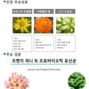 루디아스킨케어