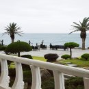 카오카오 이미지