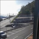 제일해물칼국수