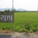 맘빌리지