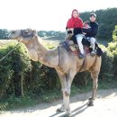 유니동물약국 | 제주도여행