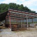 양지축사 이미지