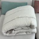 지베누오