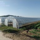 석성면봉정리보건진료소 | 토지(대지)경매투자문의-2016타경3511, 부여군 토지(대지)경매♠♠충남 부여군 석성면 봉정리 -명도대행