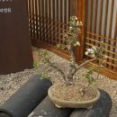 목감아트하우스27 열린우리들공간 이미지