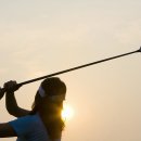 디알지(DRG) 이미지