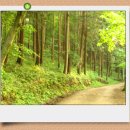 광산구-009 Daum카페