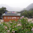 갈매기펜션 이미지